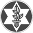 לוגו ארגון נכי צהל